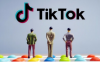 TikTok邀请码是怎么获得？tiktok邀请码申请方法